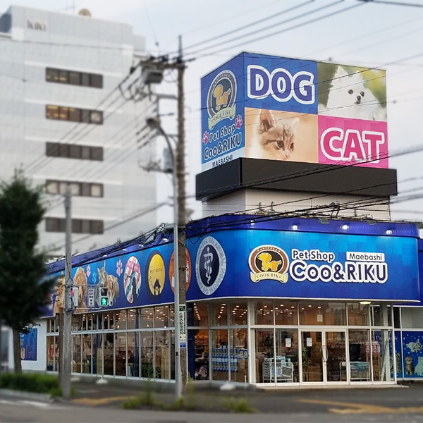 前橋店 猫カフェなら猫喫茶空陸家 猫と過ごすカフェ