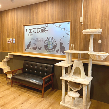 イオンタウン佐野店 猫カフェなら猫喫茶空陸家 猫と過ごすカフェ