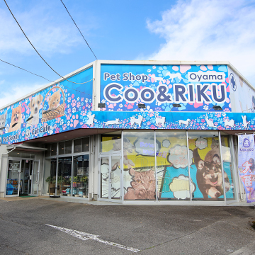 小山店 猫カフェなら猫喫茶空陸家 猫と過ごすカフェ 小山店 猫カフェなら猫喫茶空陸家 猫と過ごすカフェ