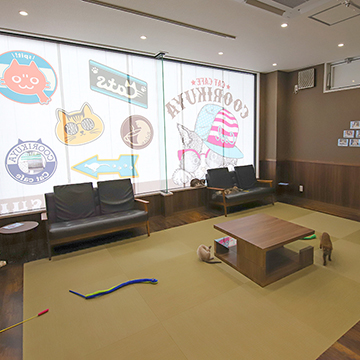東船橋店 猫カフェなら猫喫茶空陸家 猫と過ごすカフェ 東船橋店 猫カフェなら猫喫茶空陸家 猫と過ごすカフェ