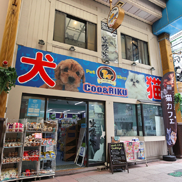 長崎浜町店 猫カフェなら猫喫茶空陸家 猫と過ごすカフェ